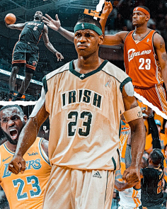 城市级打卡 城市级打卡